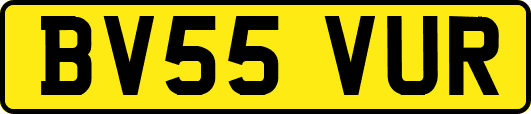 BV55VUR