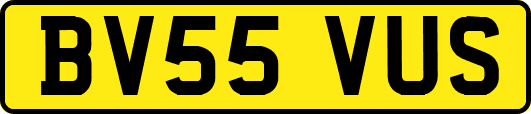 BV55VUS