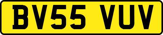 BV55VUV