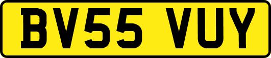 BV55VUY