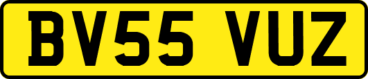 BV55VUZ