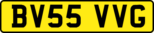 BV55VVG
