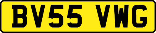 BV55VWG