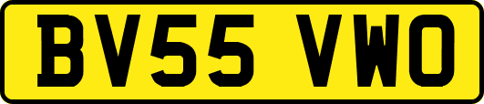 BV55VWO