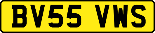 BV55VWS