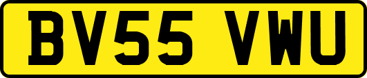 BV55VWU