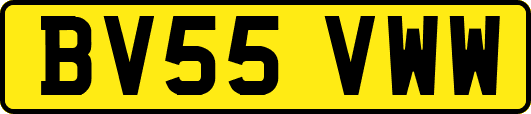 BV55VWW
