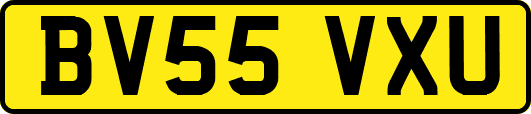 BV55VXU