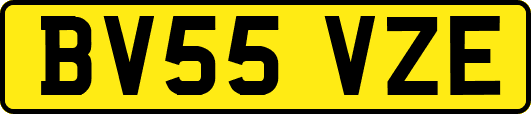BV55VZE