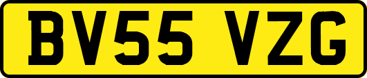 BV55VZG
