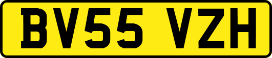 BV55VZH