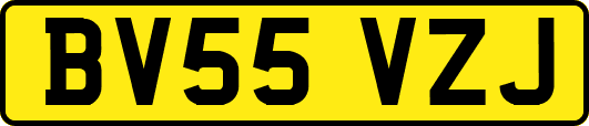 BV55VZJ