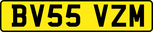 BV55VZM
