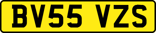 BV55VZS