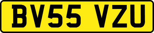 BV55VZU