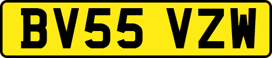 BV55VZW