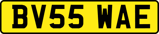 BV55WAE