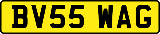 BV55WAG
