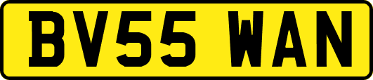 BV55WAN