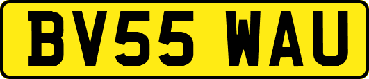 BV55WAU