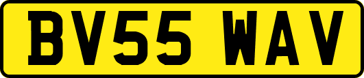 BV55WAV
