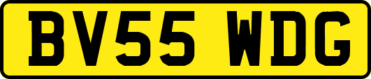BV55WDG