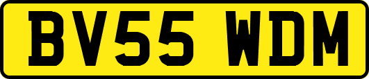 BV55WDM