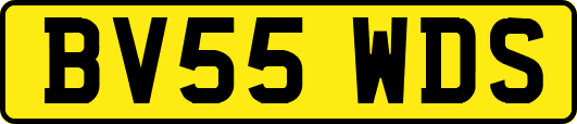 BV55WDS
