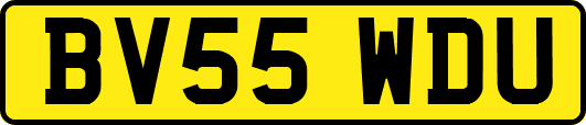 BV55WDU