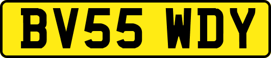 BV55WDY