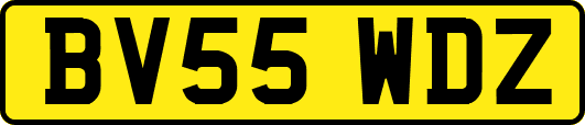 BV55WDZ