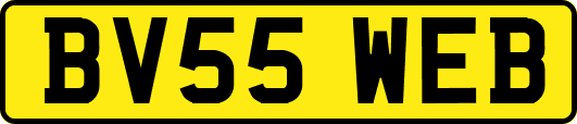 BV55WEB