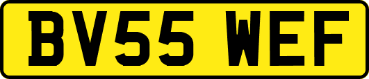 BV55WEF