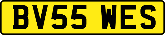 BV55WES
