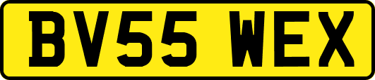 BV55WEX