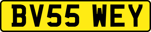 BV55WEY