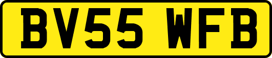 BV55WFB