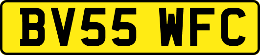 BV55WFC