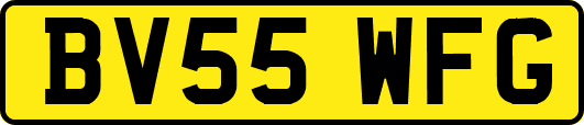 BV55WFG