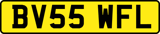 BV55WFL