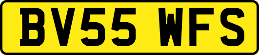 BV55WFS
