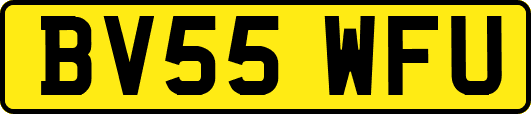 BV55WFU