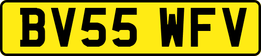 BV55WFV