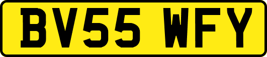 BV55WFY