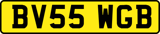 BV55WGB
