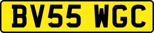 BV55WGC