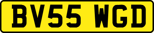 BV55WGD