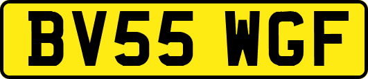 BV55WGF