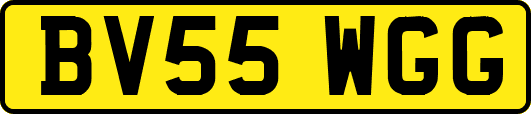 BV55WGG
