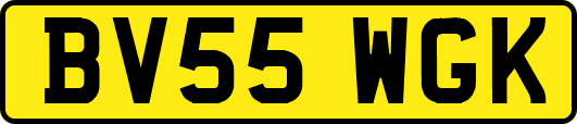 BV55WGK
